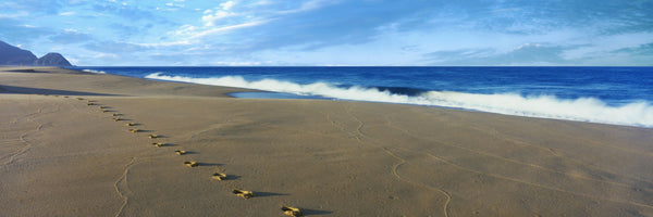 Footprints on the beach, Playa La Cachora, Todos Santos, Baja California Sur, Mexico