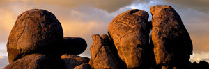 Monolithic boulders glow at sunset, Joshua Tree National Park, California, USA