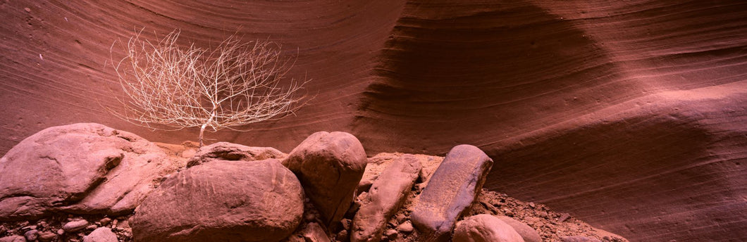 Rock formations, Antelope Canyon, Lake Powell Navajo Tribal Park, Arizona, USA