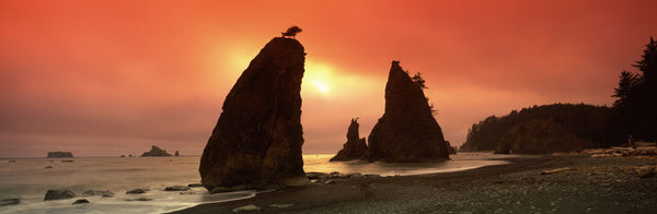 Silhouette of seastacks at sunset, Olympic National Park, Washington State, USA