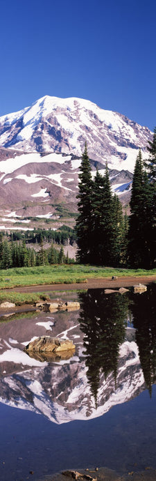 Reflection of a mountain in a lake, Mt Rainier, Pierce County, Washington State, USA