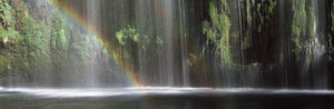 Rainbow formed in front of waterfall in a forest, near Dunsmuir, California, USA
