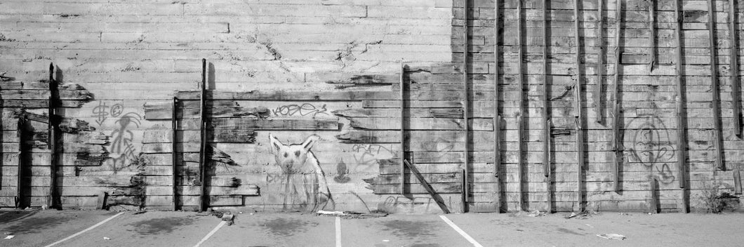 Painting Of A Dog On A Wall, San Francisco, California, USA