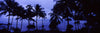 Silhouette of palm trees on the beach, Colombia