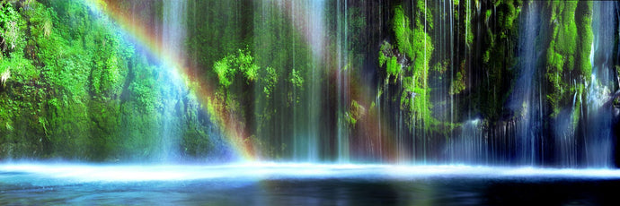 Rainbow formed in front of a waterfall in a forest, Dunsmuir, Siskiyou County, California, USA