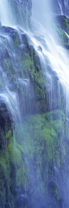 Waterfall in a forest, Proxy Falls, Three Sisters Wilderness Area, Willamette National Forest, Lane County, Oregon, USA