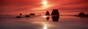 Silhouette of sea stacks at sunset, Second Beach, Olympic National Park, Washington State, USA