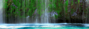 Waterfall in a forest, Mossbrae Falls, Sacramento River, Dunsmuir, Siskiyou County, California, USA