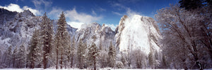 Snowy trees with rocks in winter, Cathedral Rocks, Yosemite National Park, California, USA