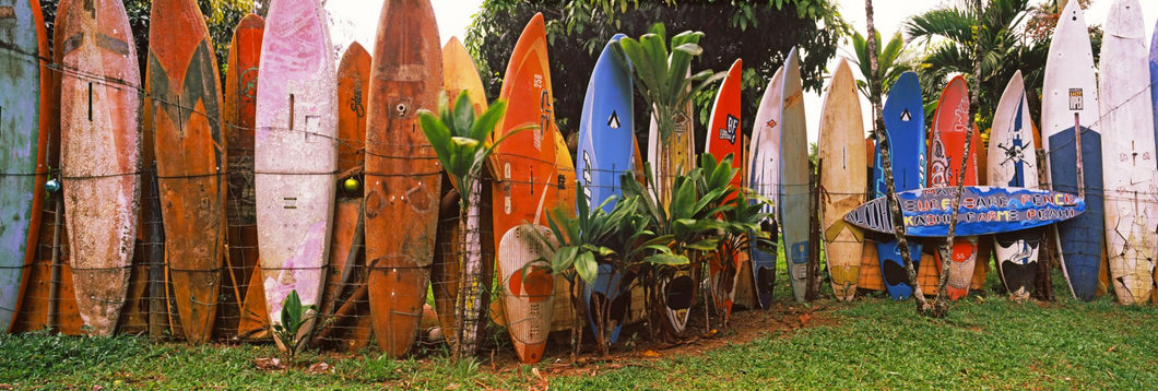 Arranged surfboards, Maui, Hawaii, USA