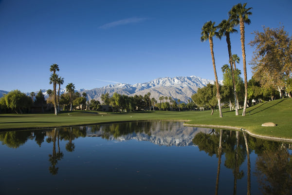Pond in a golf course, Desert Princess Country Club, Palm Springs, Riverside County, California, USA