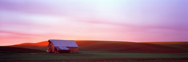 Barn in a field at sunset, Palouse, Whitman County, Washington State, USA