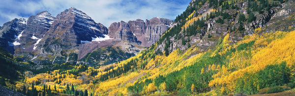 Aspen trees in autumn with mountains in the background, Maroon Bells, Elk Mountains, Pitkin County, Colorado, USA