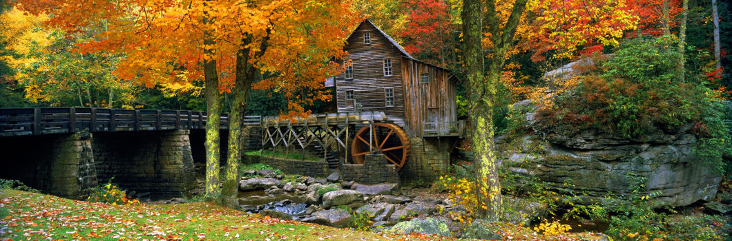 Power station in a forest, Glade Creek Grist Mill, Babcock State Park, West Virginia, USA