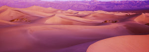 Sand dunes in a desert, Death Valley National Park, California, USA