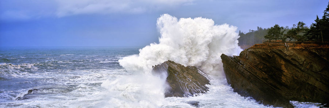 Waves breaking on the coast, Shore Acres State Park, Oregon, USA
