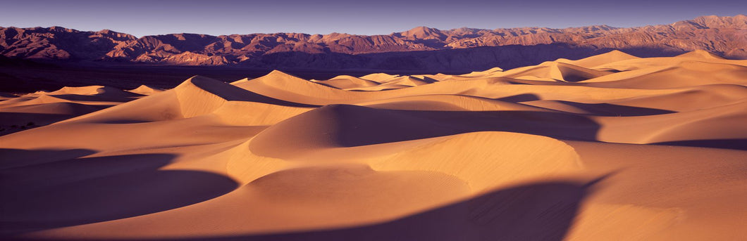 Sand dunes in a desert, Death Valley National Park, California, USA