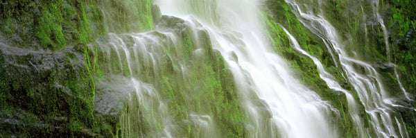 Waterfall in a forest, Proxy Falls, Three Sisters Wilderness Area, Willamette National Forest, Lane County, Oregon, USA