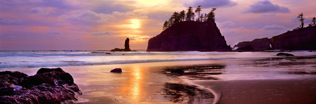 Silhouette of sea stacks at sunset, Second Beach, Olympic National Park, Washington State, USA