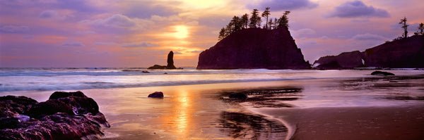 Silhouette of sea stacks at sunset, Second Beach, Olympic National Park, Washington State, USA