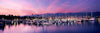 Boats moored in harbor at sunset, Santa Barbara Harbor, Santa Barbara County, California, USA