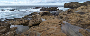 Rock formations on the coast, Point Lobos State Reserve, Monterey County, California, USA