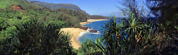 High angle view of a beach, Lumahai Beach, Kauai, Hawaii, USA