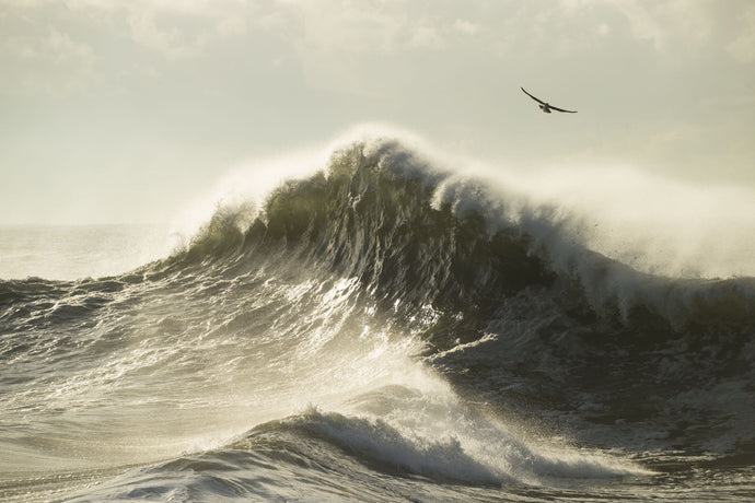 Waves in the Pacific Ocean, San Pedro, Los Angeles, California, USA