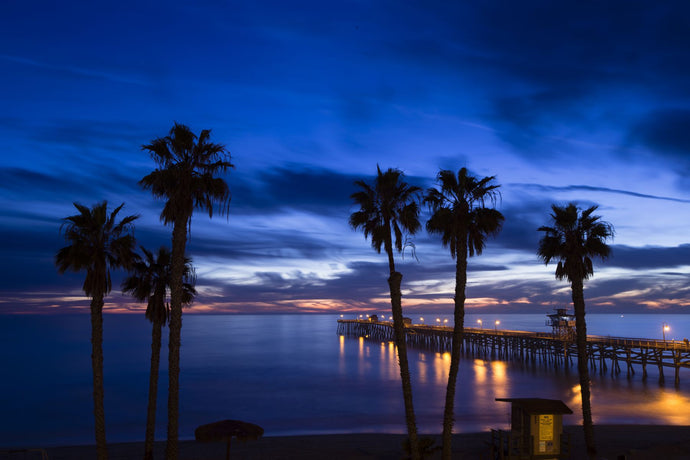 Silhouette of palm trees on the beach, San Clemente, Orange County, California, USA