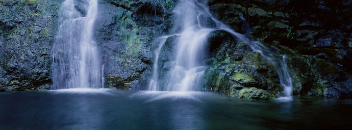 Waterfall in a forest, Salmon Creek Falls, Gorda, Los Padres National Forest, California, USA