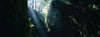 Sun beam in a canyon, Fern Canyon, Prairie Creek State Park, California, USA