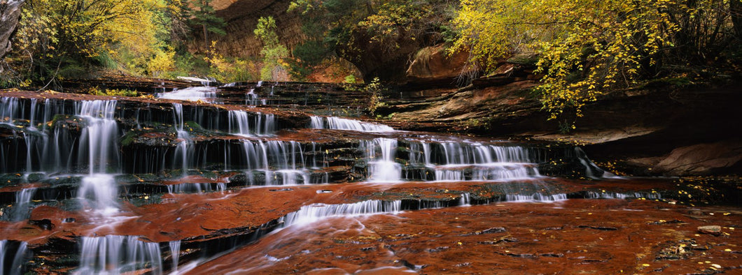 Waterfall in a forest, North Creek, Zion National Park, Utah, USA