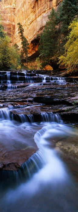 Waterfall in a forest, North Creek, Zion National Park, Utah, USA