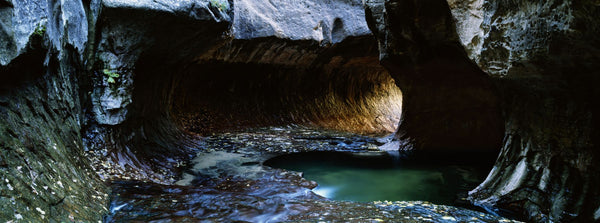 Rock formations at a ravine, North Creek, Zion National Park, Utah, USA