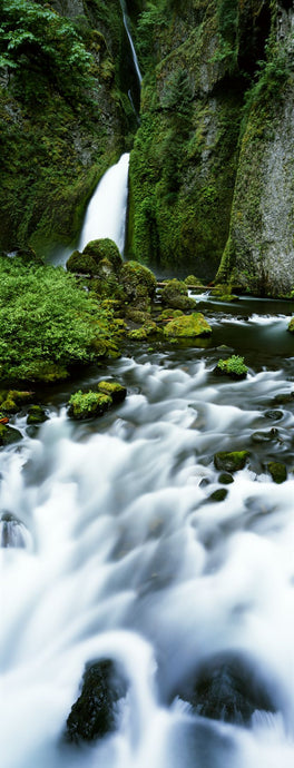 Waterfall, Wahclella Falls, Columbia River Gorge, Oregon, USA