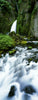 Waterfall, Wahclella Falls, Columbia River Gorge, Oregon, USA