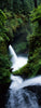 High angle view of waterfall in a forest, Sorenson Falls, Metlako Falls, Eagle Creek, Columbia River Gorge, Oregon, USA