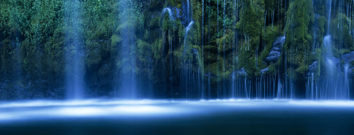 Waterfall in a forest, Mossbrae Falls, Sacramento River, Dunsmuir, Siskiyou County, California, USA