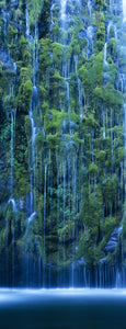 Waterfall in a forest, Mossbrae Falls, Sacramento River, Dunsmuir, Siskiyou County, California, USA