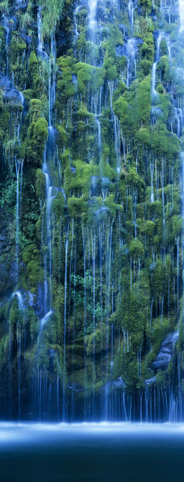Waterfall in a forest, Mossbrae Falls, Sacramento River, Dunsmuir, Siskiyou County, California, USA