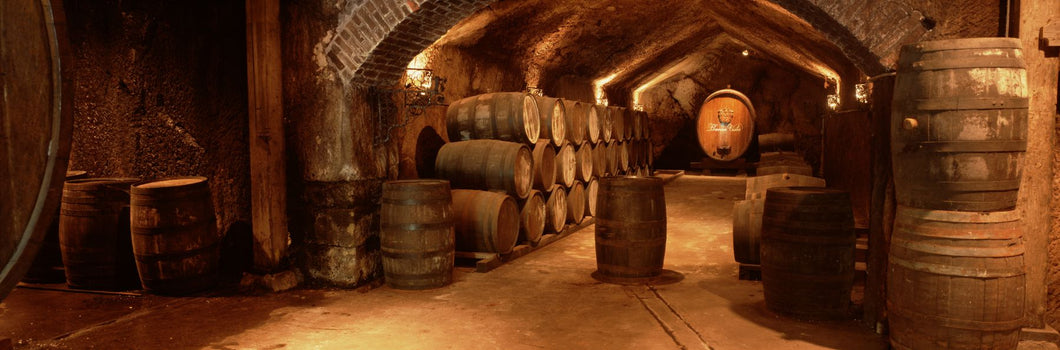 Wine barrels in a cellar, Buena Vista Carneros Winery, Sonoma, Sonoma Valley, Sonoma County, California, USA