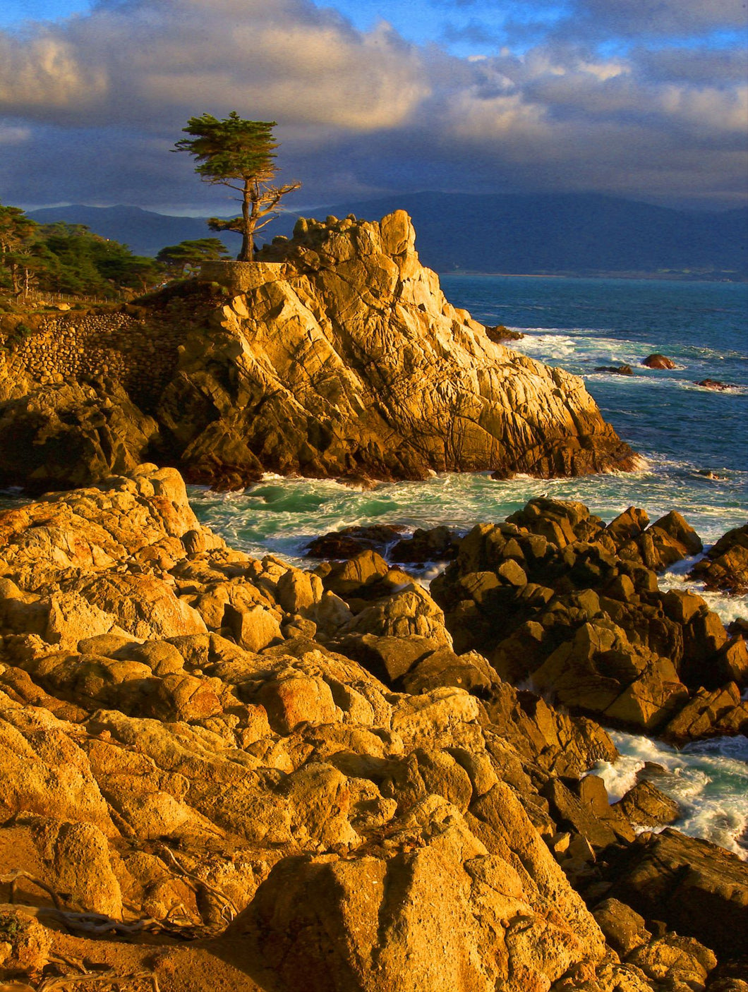 Lone cypress on the coast, Pebble Beach, Monterey County, California, USA