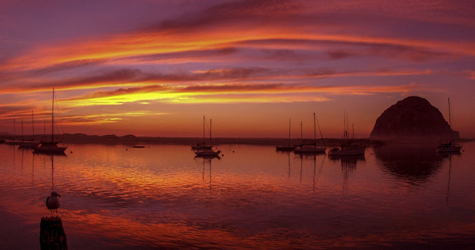 Scenic view of the Morro Bay at dusk, San Luis Obispo County, California, USA