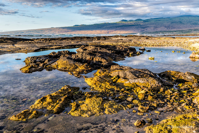 Golden Moment, Puako Bay, Big Island, HI
