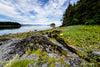 Outer Point, Douglas Island, SE Alaska