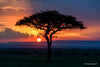Setting Sun, Masai Mara, Kenya