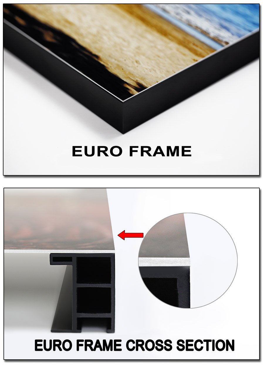 Metal Print with Euro Frame